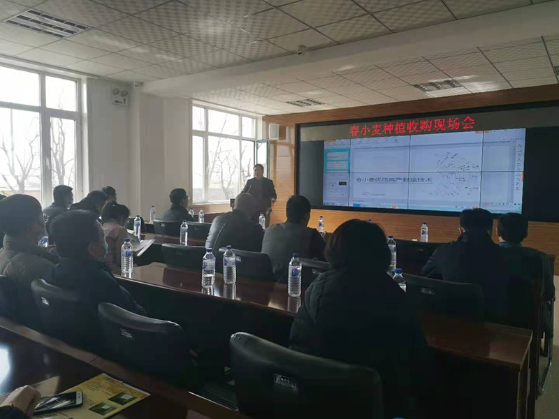 2021.03.19-春小麥種植收購(gòu)現(xiàn)場(chǎng)會(huì)--州農(nóng)委領(lǐng)導(dǎo)主持召開(kāi).jpg